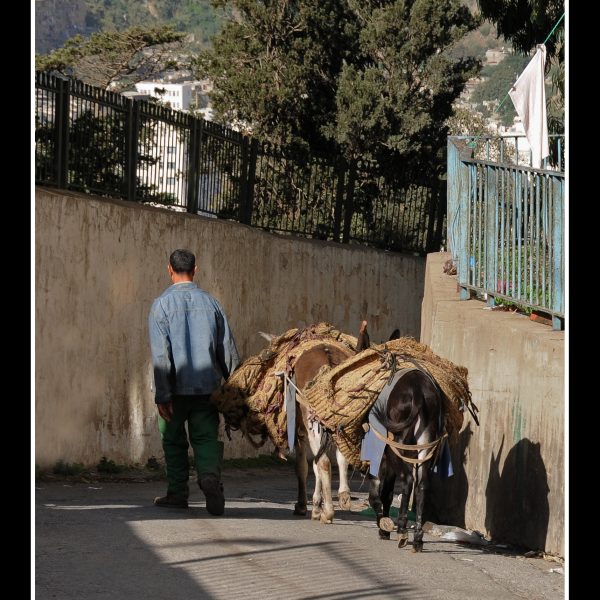 Eboueur_dans_la_Casbah